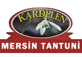 Kardelen Mersin Tantuni ( Çamlık Mh.Ümraniye )