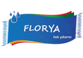 Kayseri Florya Halı Yıkama